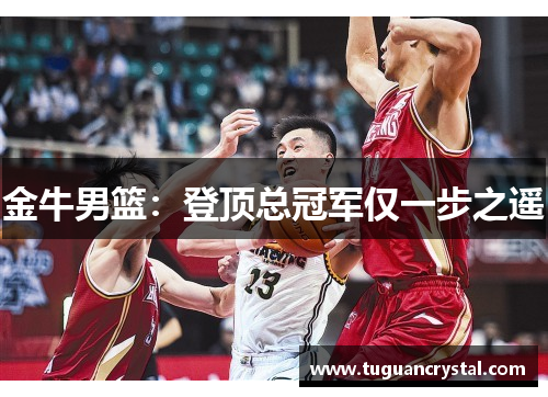 金牛男篮：登顶总冠军仅一步之遥