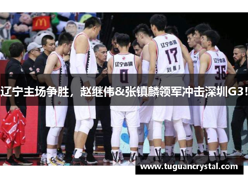 辽宁主场争胜，赵继伟&张镇麟领军冲击深圳G3！